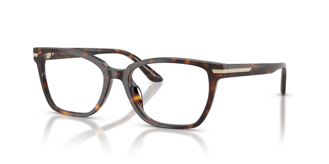 5026 - Tortoise