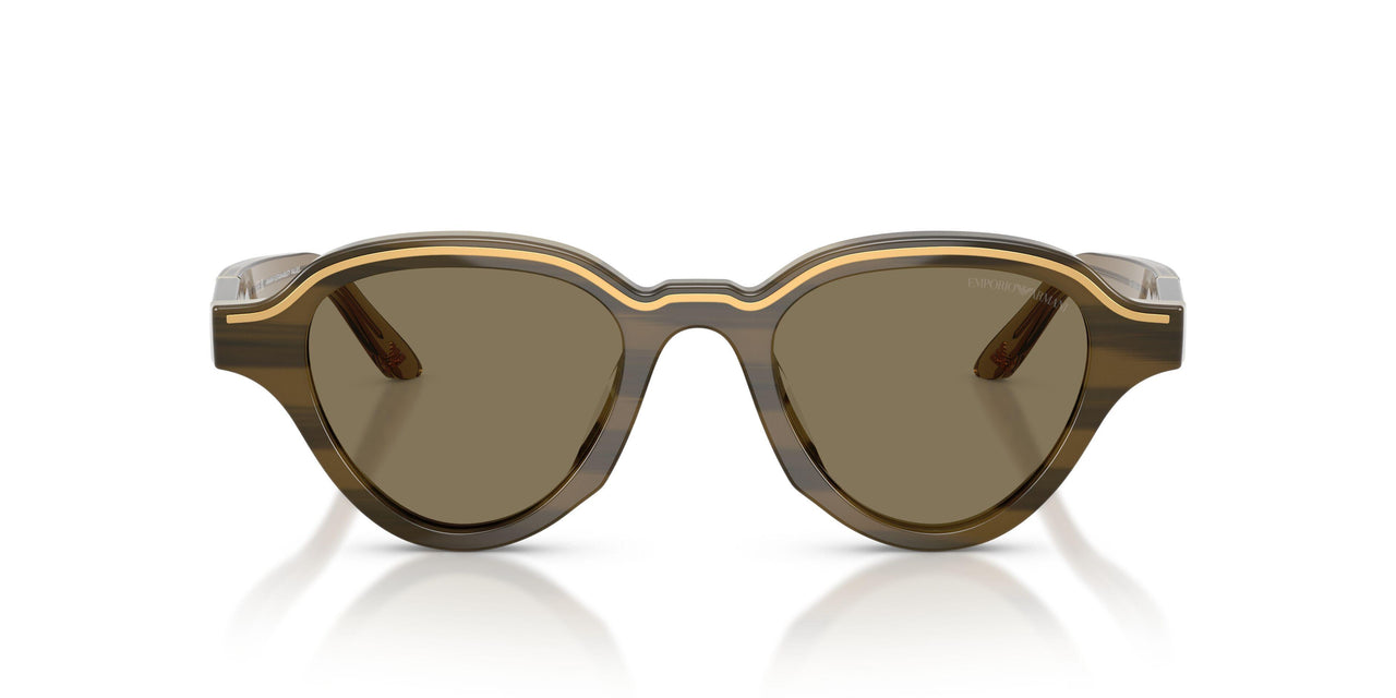 633873 - Brown - Light Brown