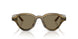 633873 - Brown - Light Brown