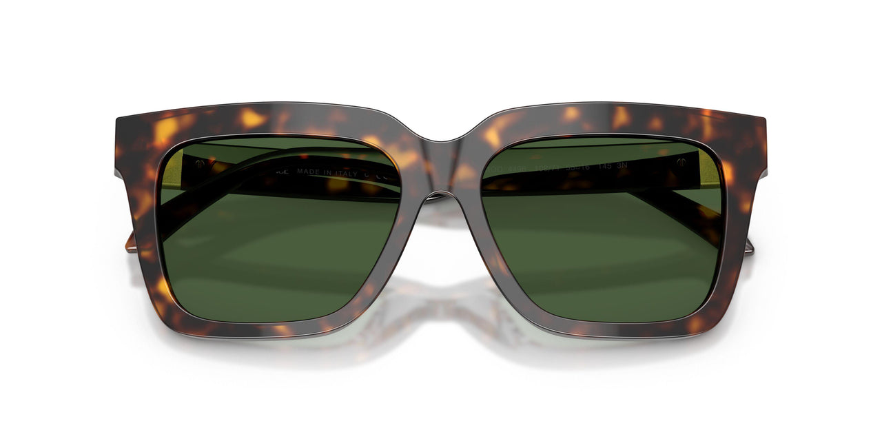 108/71 - Tortoise - Dark Green