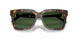 108/71 - Tortoise - Dark Green