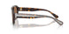 502/73 - Tortoise - Dark Brown
