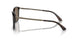 502673 - Tortoise - Dark Brown