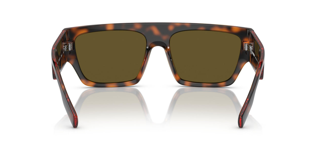 300273 - Brown - Dark Brown