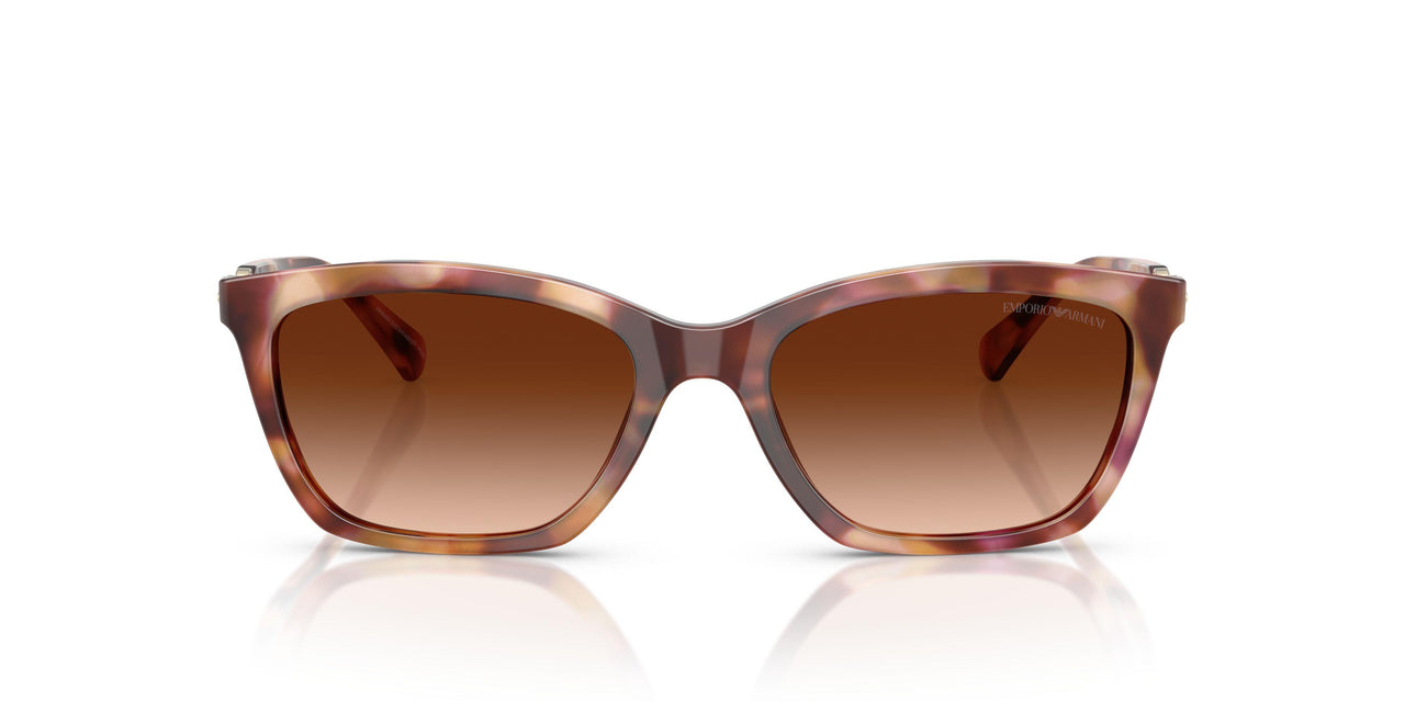 619674 - Red - Gradient Brown