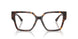 5002 - Tortoise