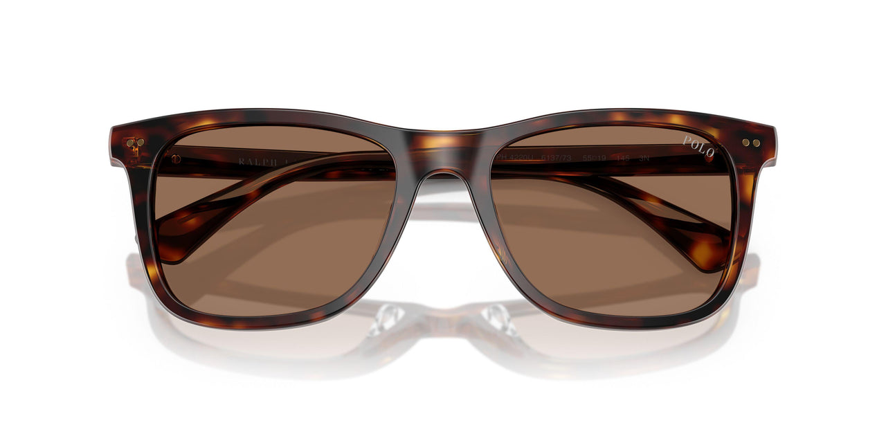 613773 - Tortoise - Dark Brown