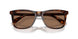 613773 - Tortoise - Dark Brown