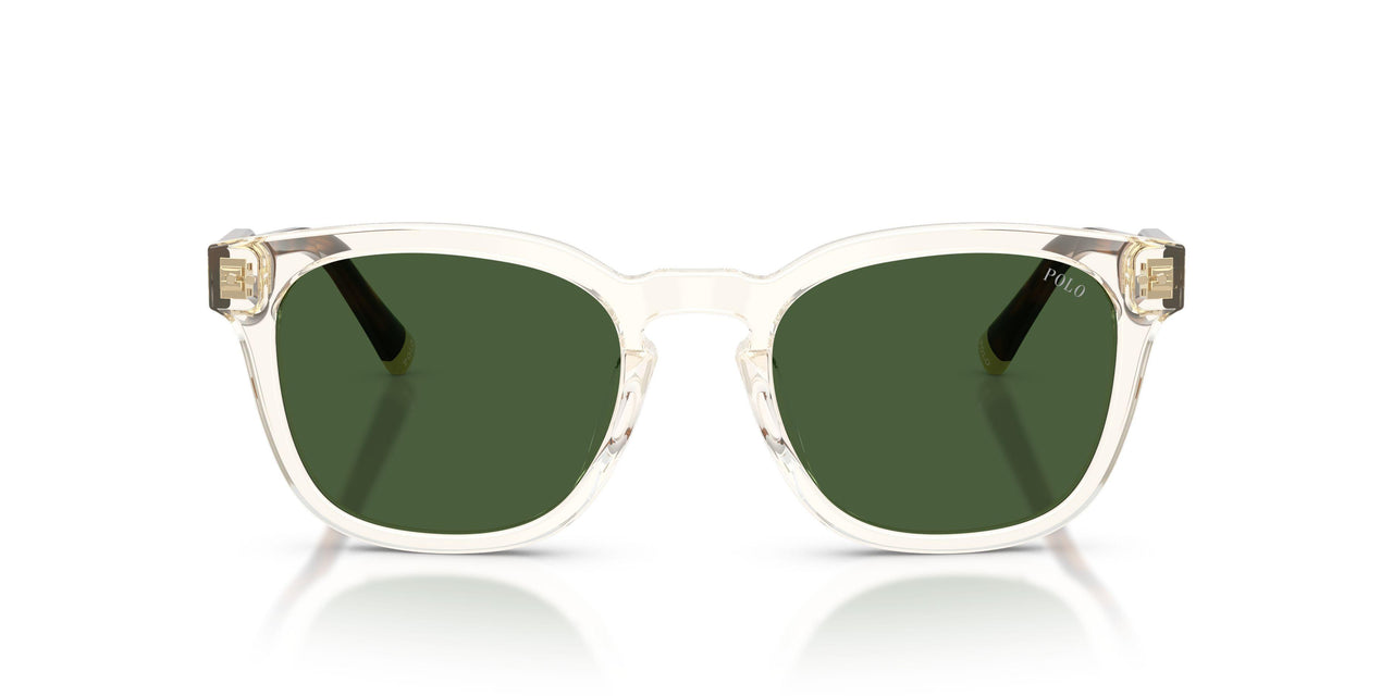 635771 - Yellow - Dark Green