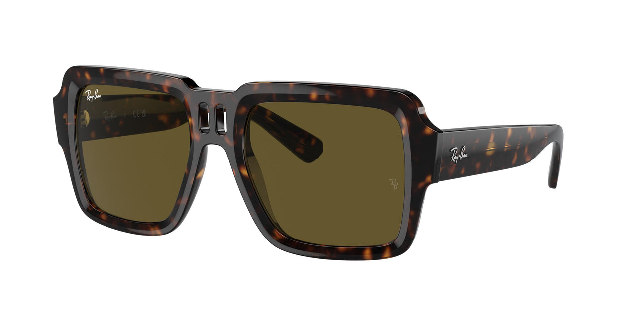 135973 - Tortoise - Dark Brown