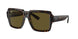 135973 - Tortoise - Dark Brown