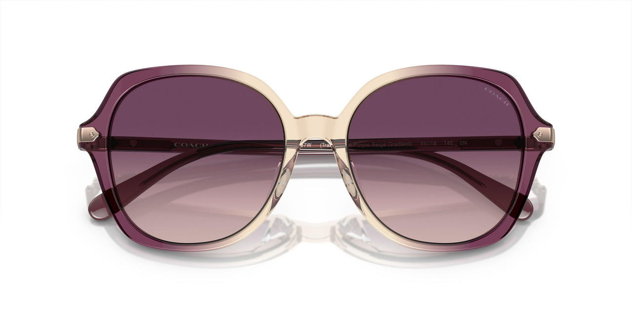 57737W - Multicolor - Purple Gradient