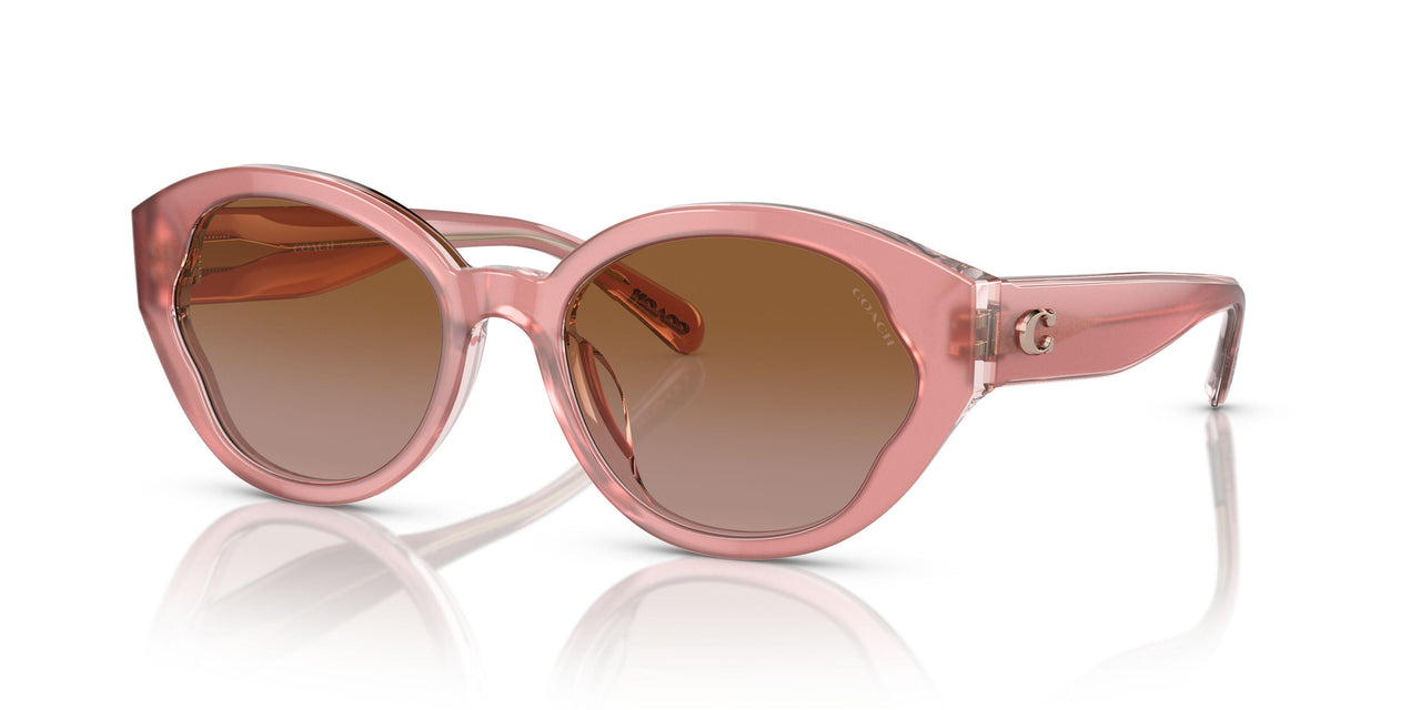 574313 - Pink - Brown Gradient