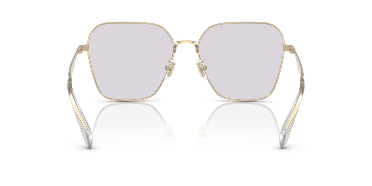 9005ZQ - Gold - Grey Photochromatic