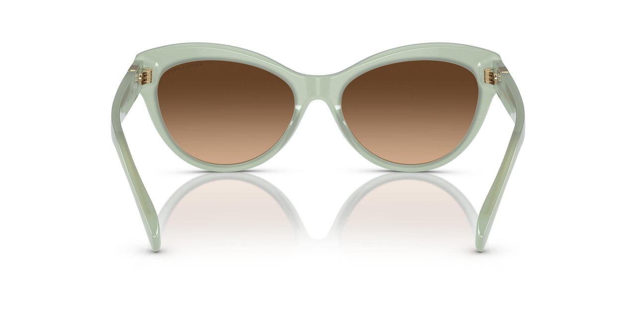 608274 - Green - Gradient Brown