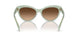 608274 - Green - Gradient Brown