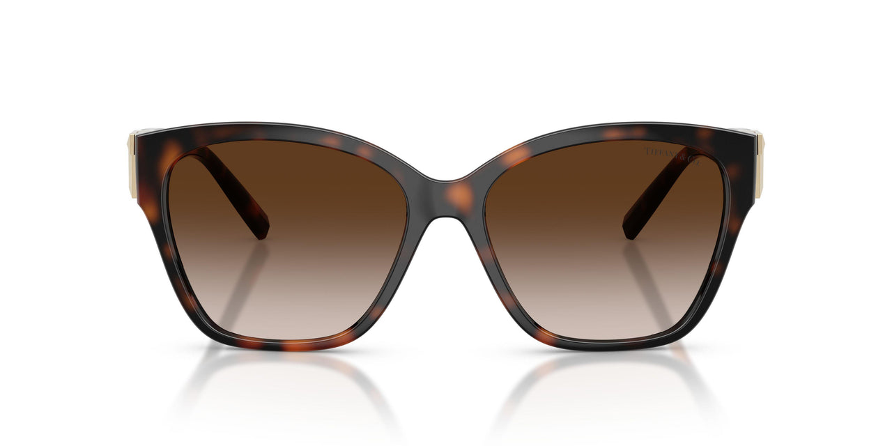 80153B - Tortoise - Brown Gradient
