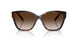 80153B - Tortoise - Brown Gradient