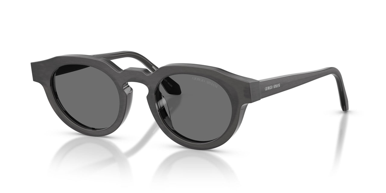 639587 - Tortoise - Grey