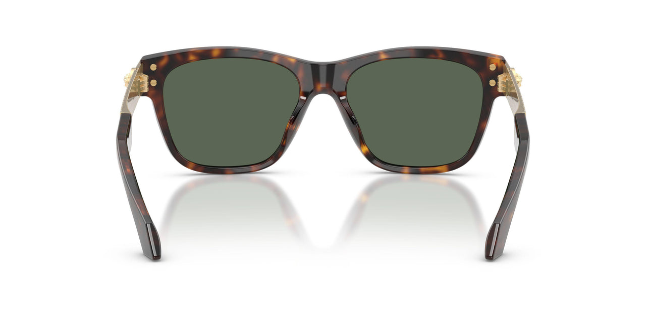 108/71 - Brown - Dark Green