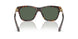 108/71 - Brown - Dark Green