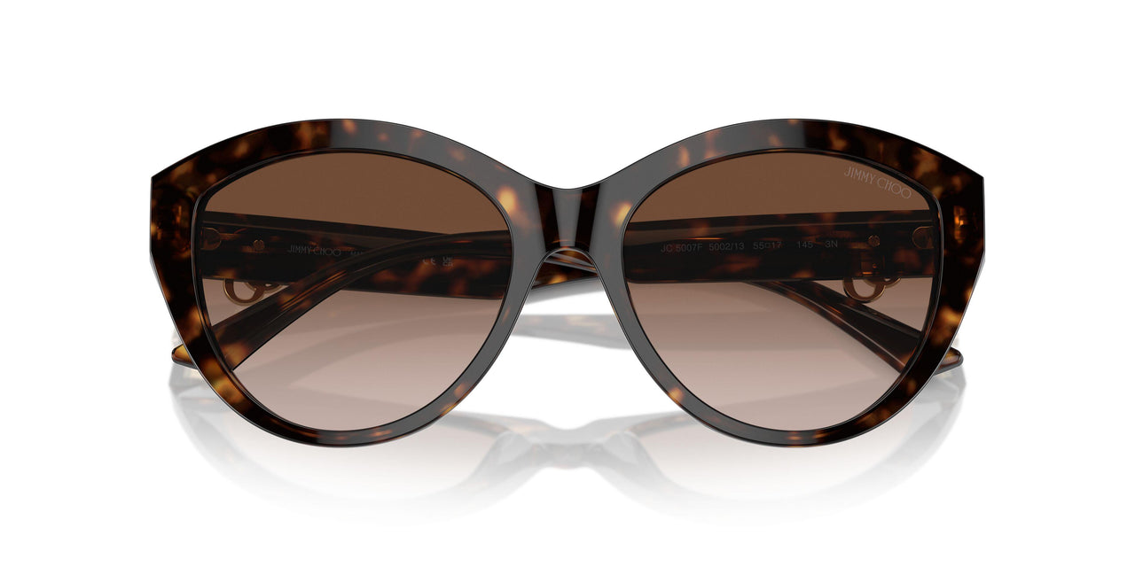 500213 - Tortoise - Gradient Brown