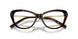 5003 - Brown