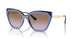 310268 - Violet - Violet Gradient Brown