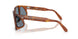 96/56 - Brown - Light Blue