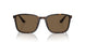 502673 - Tortoise - Dark Brown