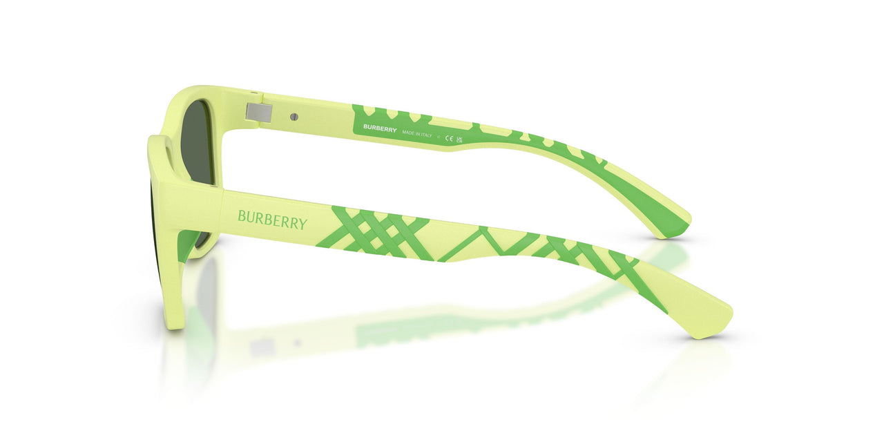 423771 - Green - Dark Green