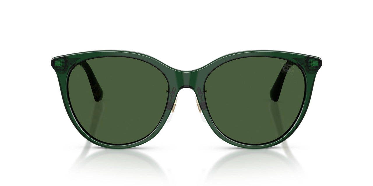 416271 - Green - Dark Green