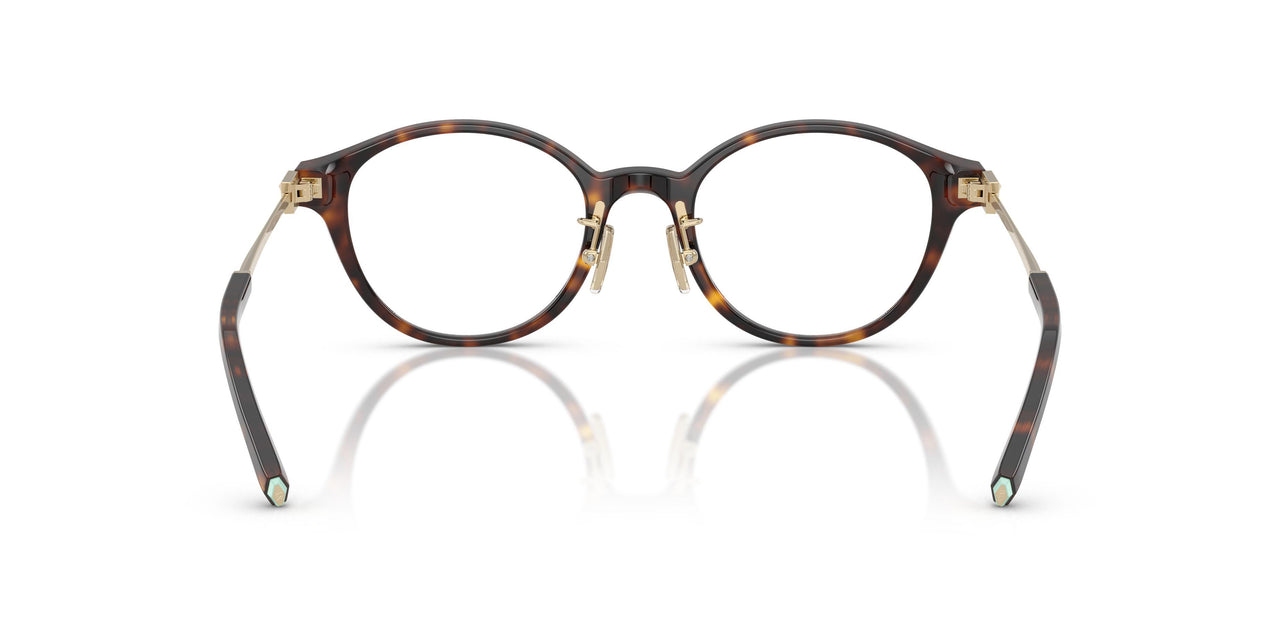 8015 - Tortoise