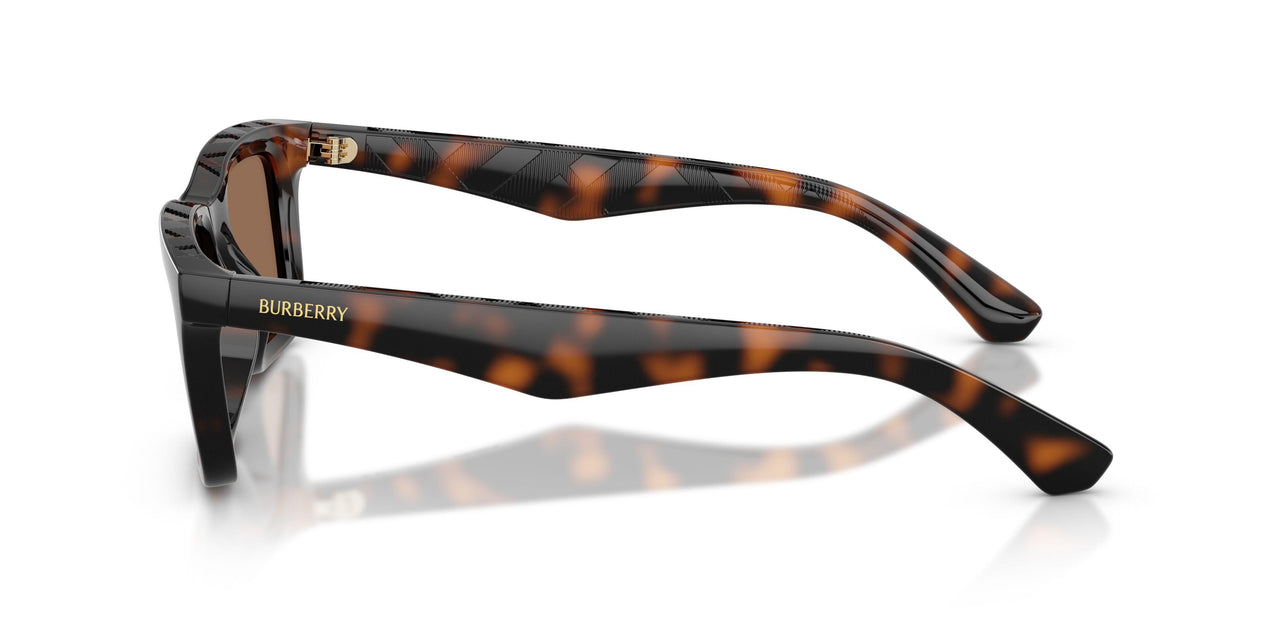 300273 - Brown - Dark Brown