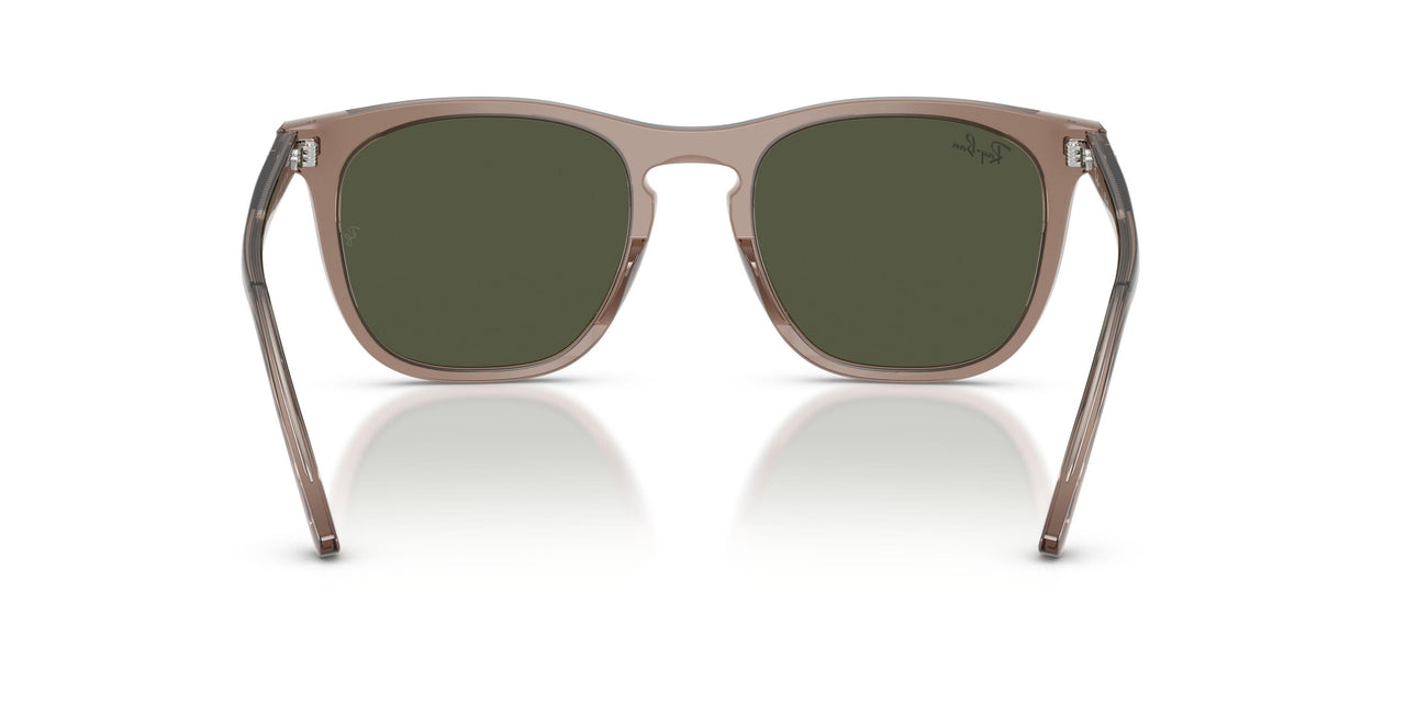 845731 - Brown - Blue