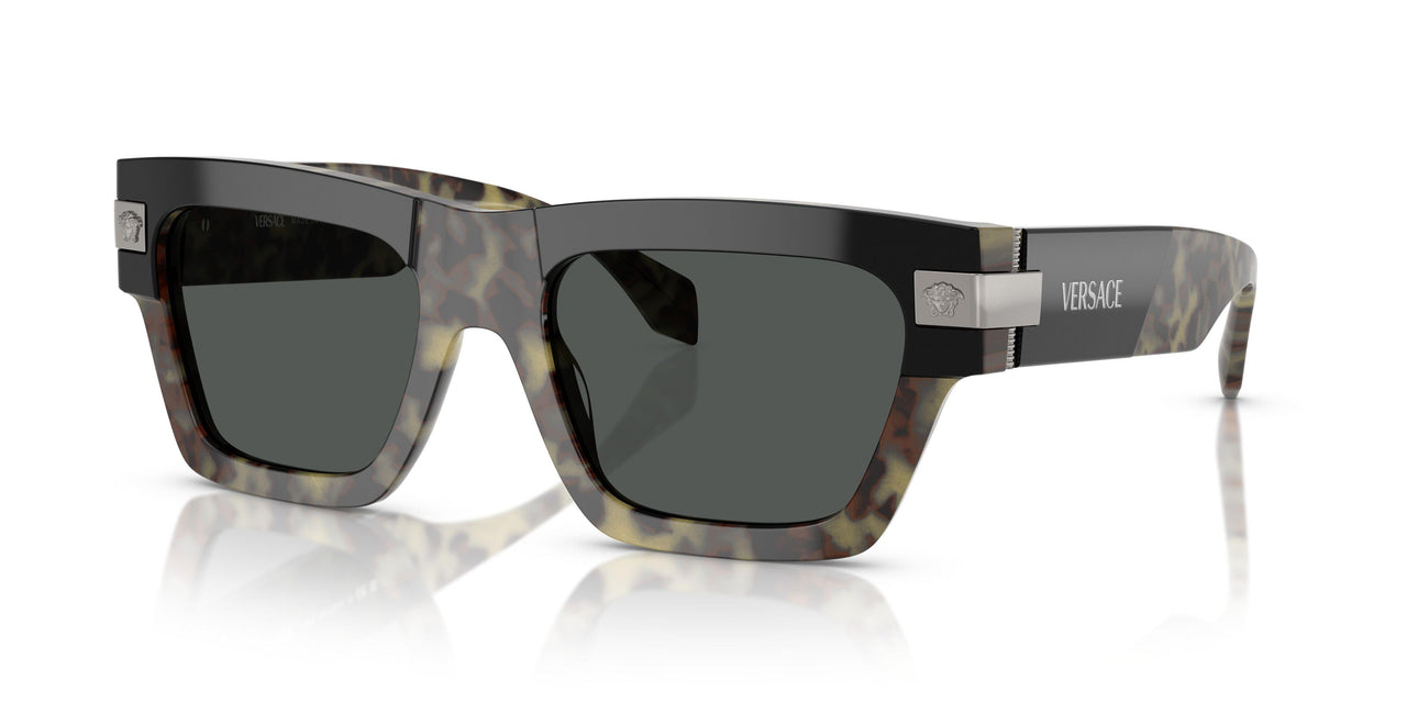 545687 - Tortoise - Dark Grey