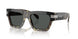 545687 - Tortoise - Dark Grey