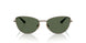 51389A - Brown - Dark Green Polar