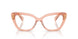 13T1O1 - Peach