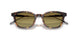 30382A - Brown - Gradient Green