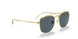 9196R5 - Gold - Blue