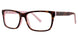 GB+ INTELLECT Eyeglasses