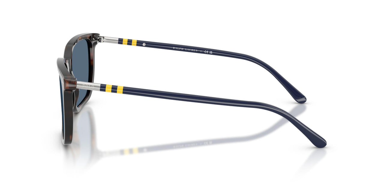 500380 - Tortoise - Dark Blue