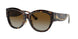 Ferrari 2008F Sunglasses