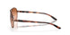 407901 - Pink - Vr50 Brown Gradient