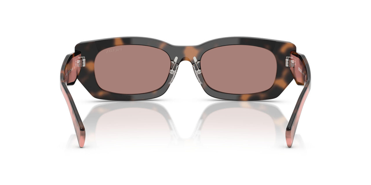 23A60B - Tortoise - Light Brown