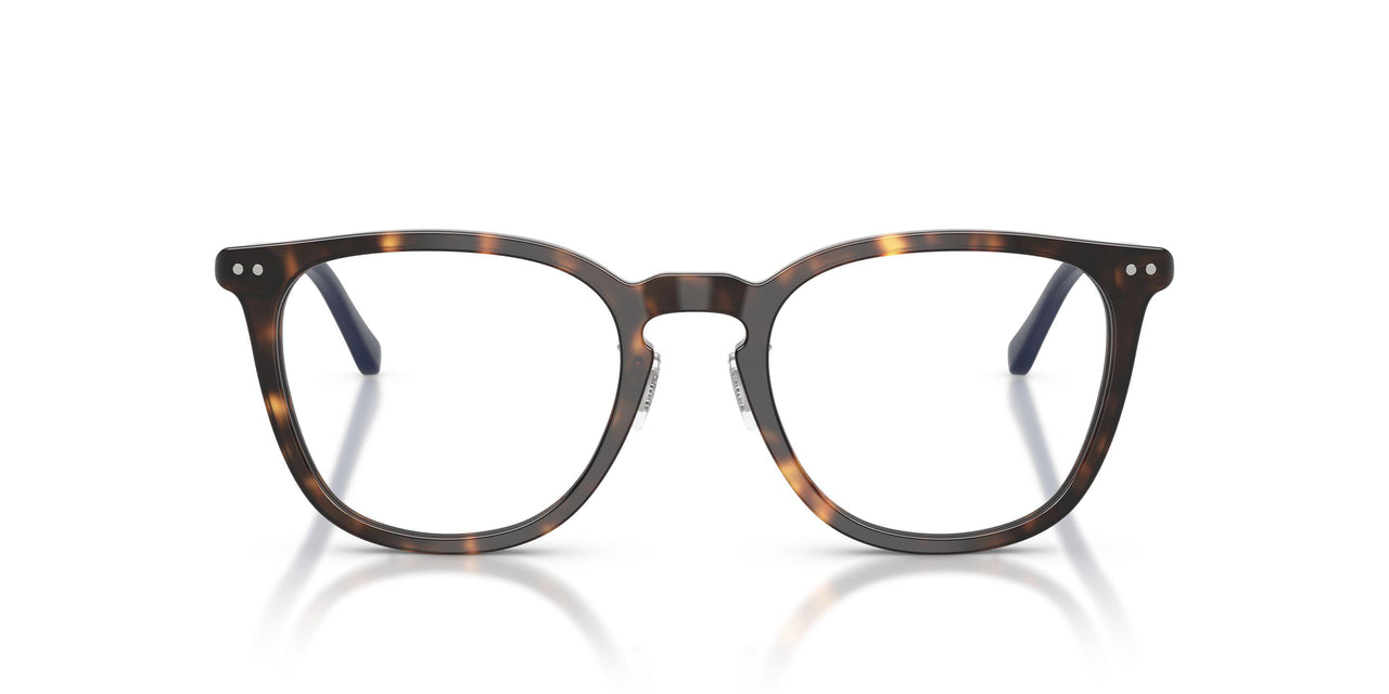 5003 - Tortoise