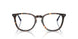 5003 - Tortoise