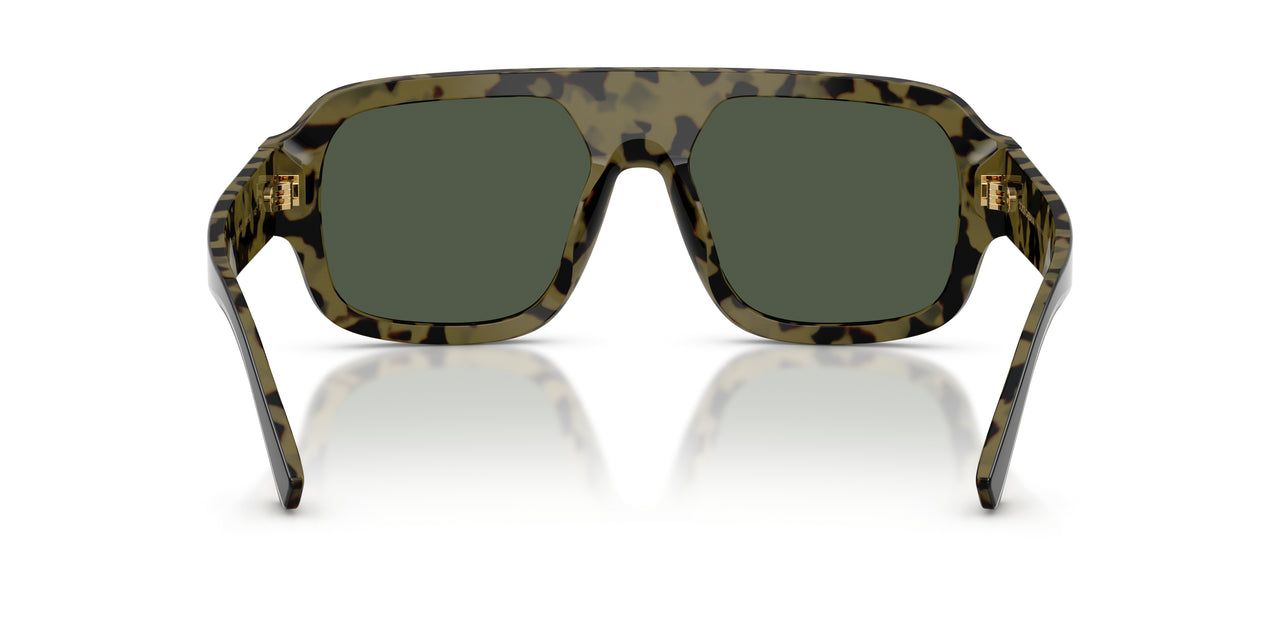 34049A - Black - Dark Green Polar