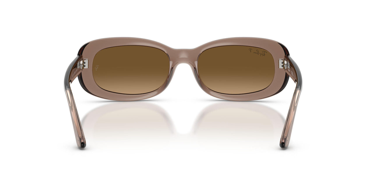 6827M2 - Brown - Gradient Brown Polarized